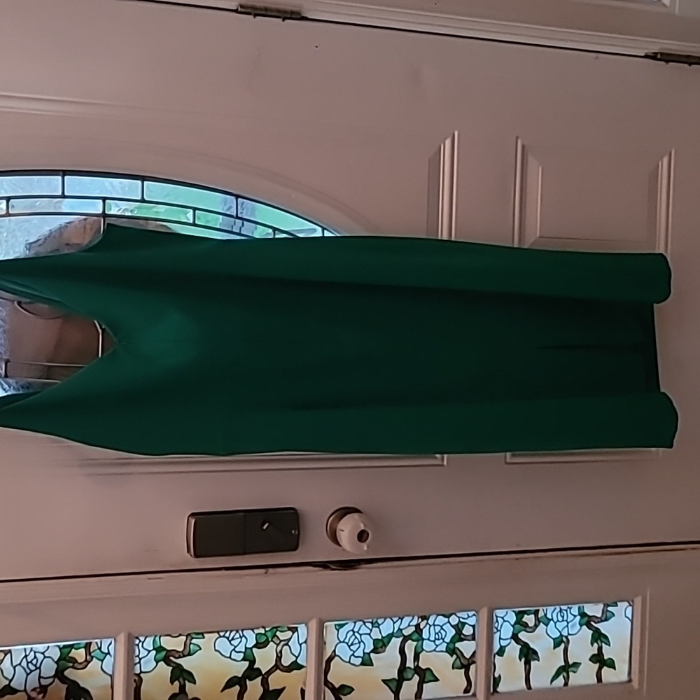NWT Betsy & Adam Green Cocktail Evening Dress, Size 18W - Picture 7 of 7